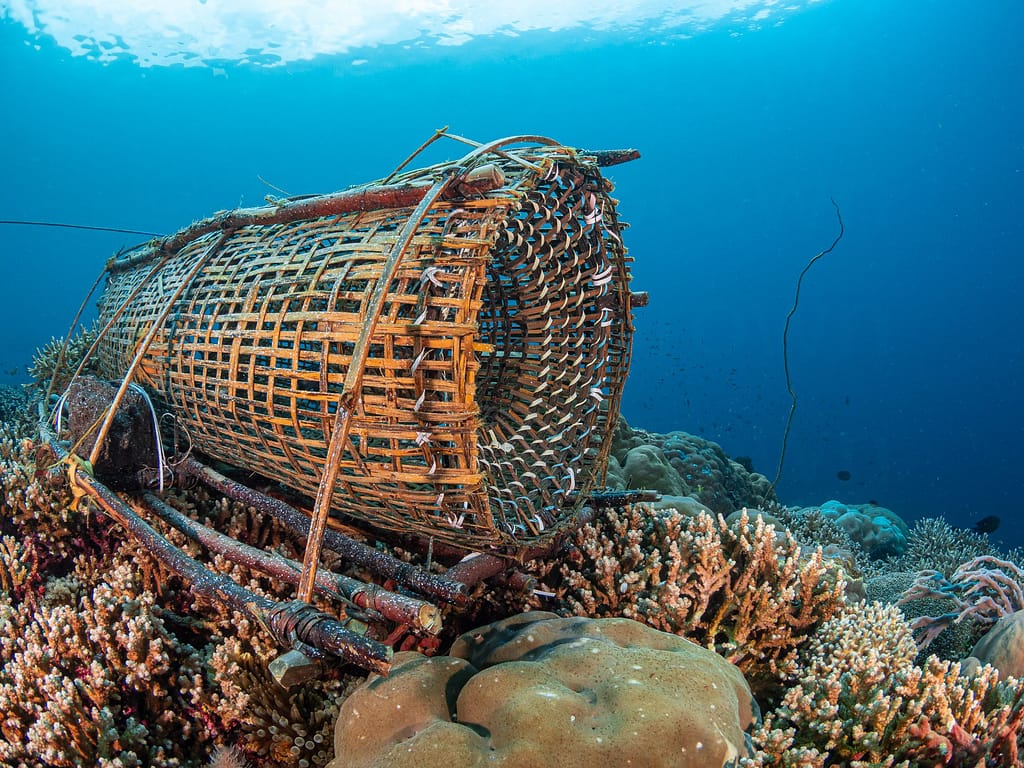 bubu, fish trap made by alor fisherman. alor archipelago, indone